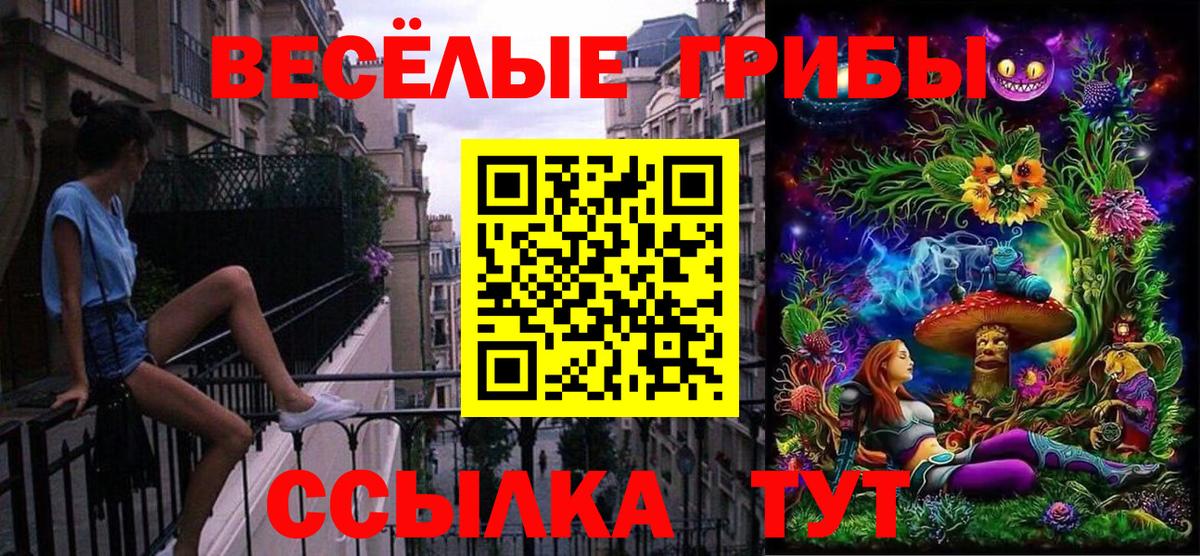 Галлюциногенные грибы Magic Shrooms Владикавказ